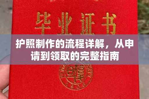 河南护照制作的流程详解，从申请到领取的完整指南